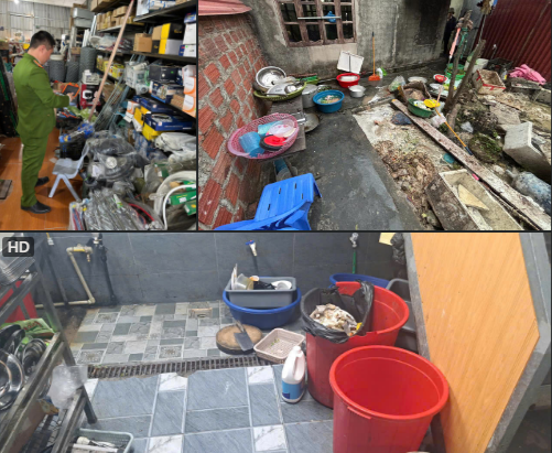 Công an phường Hoà Bình: Xử phạt vi phạm hành chính 4 vụ việc vi phạm quy định về kinh tế, môi trường